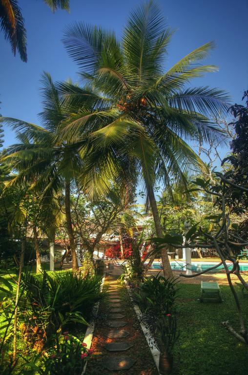 Ypsylon Tourist Resort Beruwala Dış mekan fotoğraf