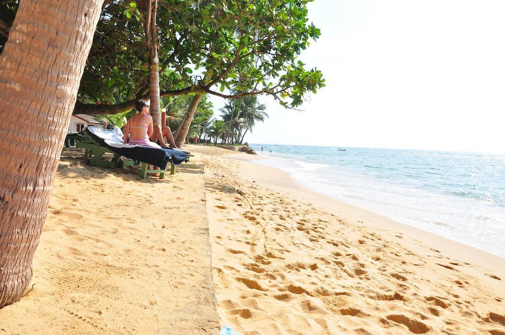 Ypsylon Tourist Resort Beruwala Dış mekan fotoğraf